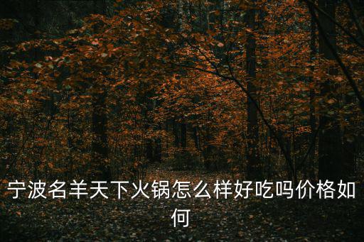 名羊天下，名羊天下和狼來(lái)了烤羊腿 哪個(gè)更好吃