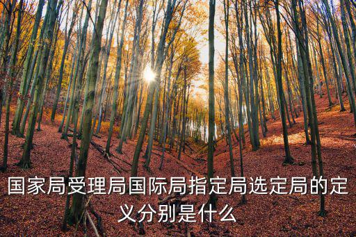 國家局受理局國際局指定局選定局的定義分別是什么