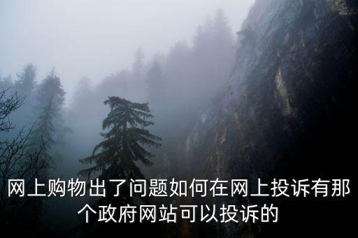 網上購物出了問題如何在網上投訴有那個政府網站可以投訴的