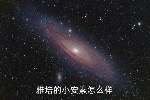 雅培的小安素怎么樣