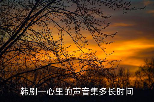 心里的聲音韓劇，韓劇心里的聲音是以搜狐的為準還是以更新到12集的為準