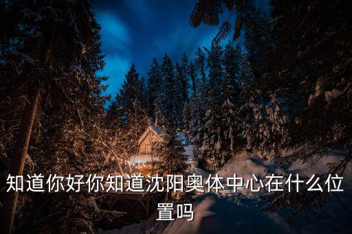 沈陽奧體中心，沈陽奧林匹克體育中心體育場