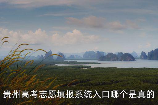貴州高考志愿填報系統入口哪個是真的