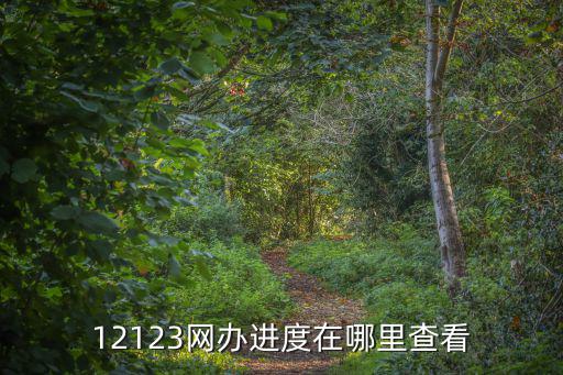 網辦進度，交管12123app罰款已繳但依然顯示未繳款網辦進度里也顯示已取