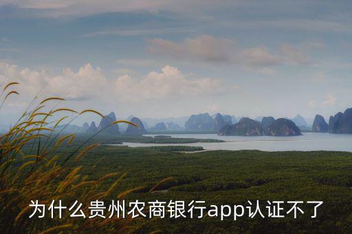 為什么貴州農商銀行app認證不了