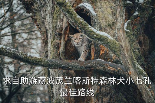 求自助游荔波茂蘭喀斯特森林犬小七孔最佳路線