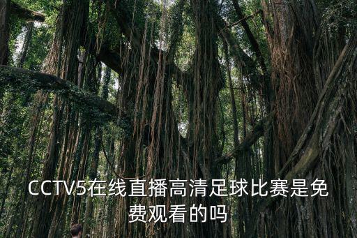 CCTV5在線直播高清足球比賽是免費(fèi)觀看的嗎