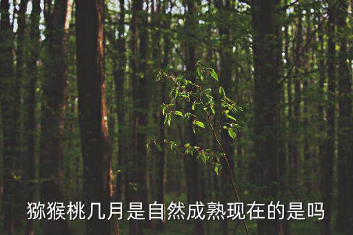 獼猴桃幾月是自然成熟現在的是嗎