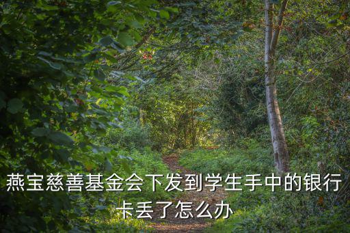 燕寶慈善基金會下發(fā)到學(xué)生手中的銀行卡丟了怎么辦