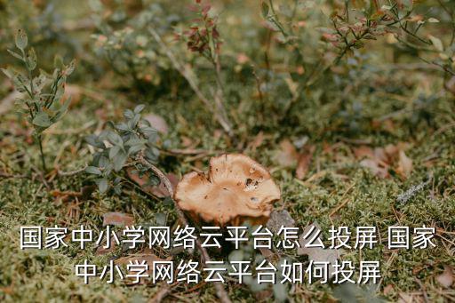 國家中小學網絡云平臺怎么投屏 國家中小學網絡云平臺如何投屏