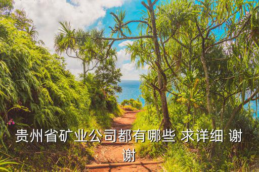 貴州省礦業公司都有哪些 求詳細 謝謝