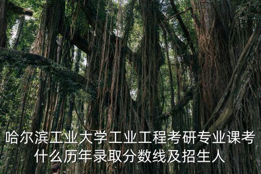 哈爾濱工業大學工業工程考研專業課考什么歷年錄取分數線及招生人