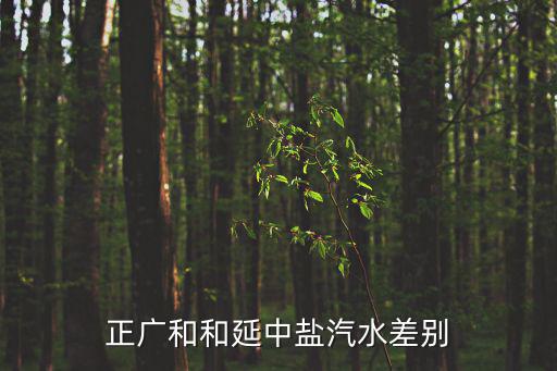 延中，減持延中是什么意思 謝謝