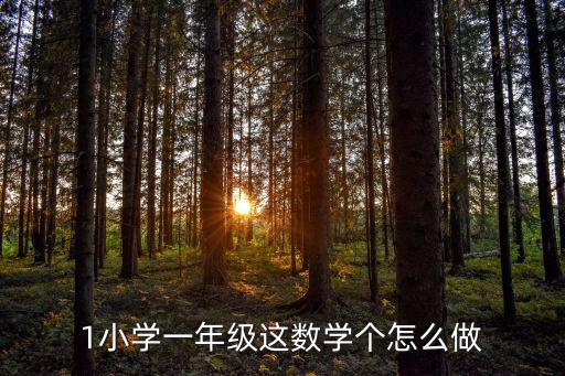 1小學一年級這數學個怎么做