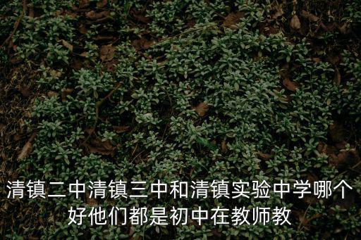 清鎮二中清鎮三中和清鎮實驗中學哪個好他們都是初中在教師教