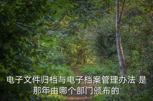 電子檔案管理辦法，電子文件歸檔與電子檔案管理辦法 是那年由哪個(gè)部門(mén)頒布的