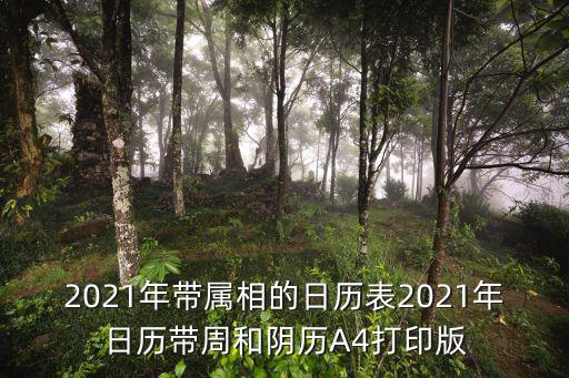 2021年帶屬相的日歷表2021年日歷帶周和陰歷A4打印版