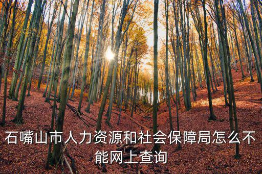 石嘴山市人力資源和社會保障局怎么不能網上查詢