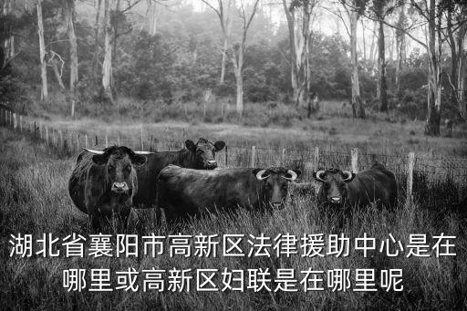 婦聯法律援助中心，湖北省襄陽市高新區法律援助中心是在哪里或高新區婦聯是在哪里呢
