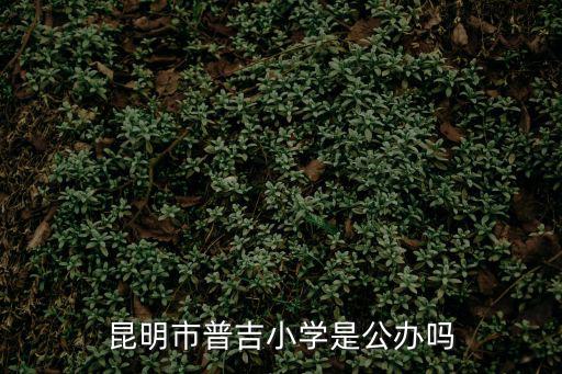昆明市普吉小學(xué)是公辦嗎