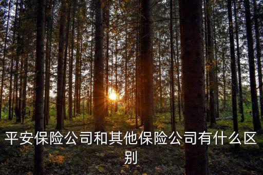 平安保險公司，平安保險公司和其他保險公司有什么區(qū)別