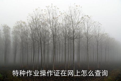 操作證查詢，特種作業操作證查詢