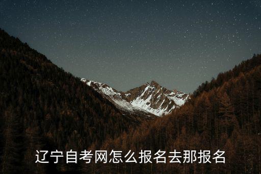 遼寧自考網(wǎng)官網(wǎng)，遼寧自考網(wǎng)是什么