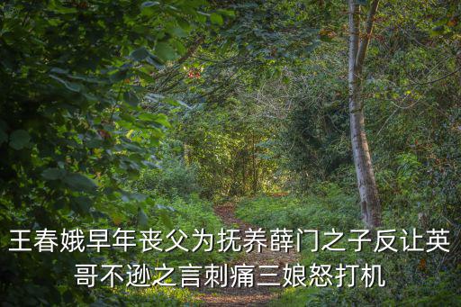 王春娥，王春娥早年喪父為撫養薛門之子反讓英哥不遜之言刺痛三娘怒打機