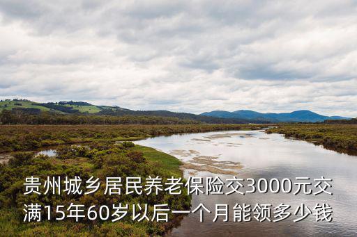 貴州城鄉，貴州城鄉居民養老保險交3000元交滿15年60歲以后一個月能領多少錢