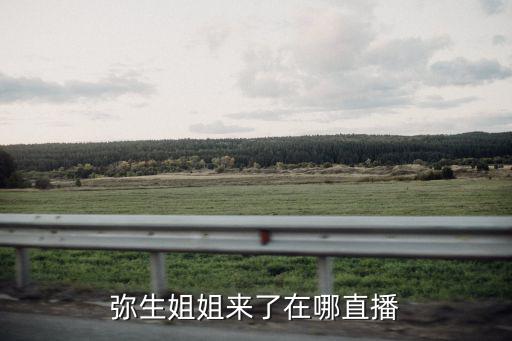 彌生姐姐來了在哪直播