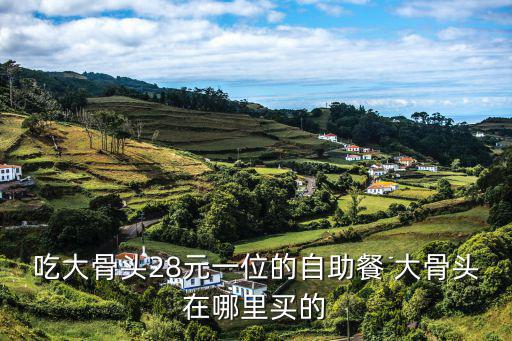 28元自助餐，吃大骨頭28元一位的自助餐 大骨頭在哪里買的
