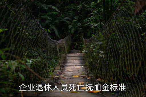 企業(yè)退休人員死亡撫恤金標(biāo)準(zhǔn)
