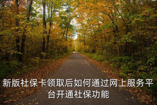 新版社保卡領(lǐng)取后如何通過網(wǎng)上服務(wù)平臺(tái)開通社保功能
