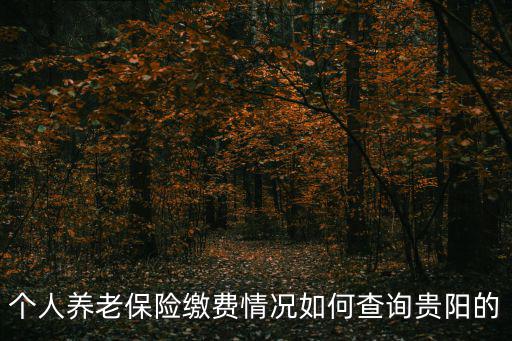 貴陽社保查詢，個人養老保險繳費情況如何查詢貴陽的