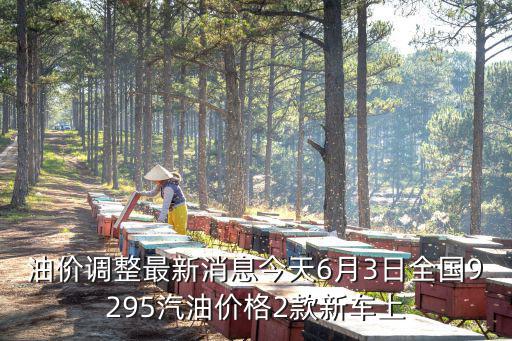 油價(jià)調(diào)整最新消息今天6月3日全國9295汽油價(jià)格2款新車上