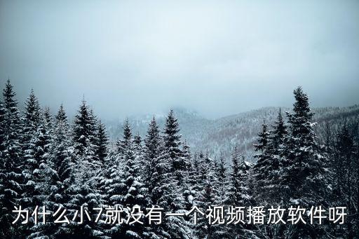 為什么小7就沒有一個視頻播放軟件呀