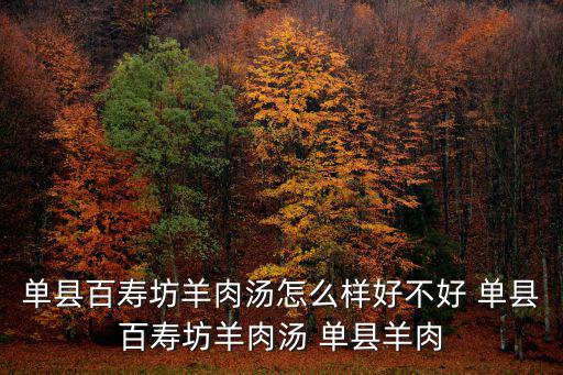 單縣百壽坊羊肉湯怎么樣好不好 單縣百壽坊羊肉湯 單縣羊肉