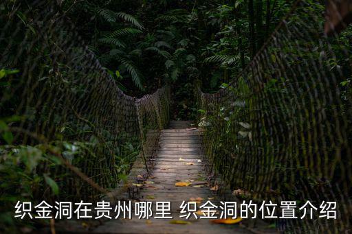 織金洞在貴州哪里 織金洞的位置介紹