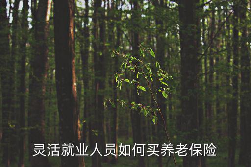 靈活就業人員如何買養老保險