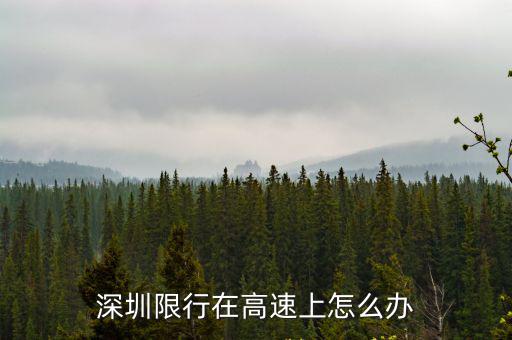 深圳限行在高速上怎么辦