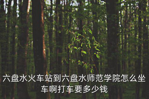 六盤水火車站到六盤水師范學院怎么坐車啊打車要多少錢