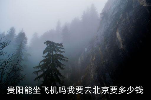 貴陽能坐飛機嗎我要去北京要多少錢