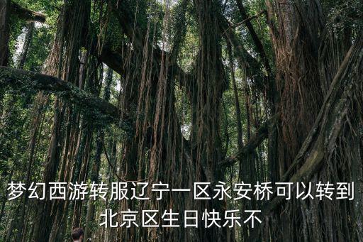永安橋，夢幻西游轉服遼寧一區永安橋可以轉到北京區生日快樂不