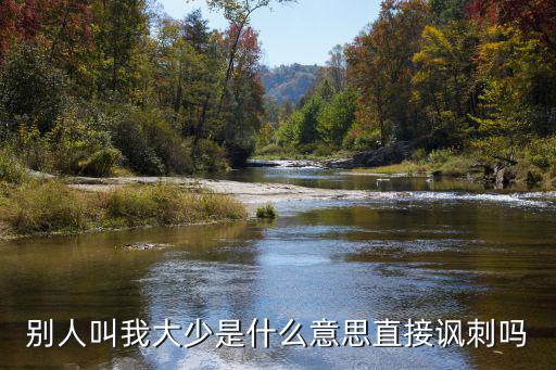 別人叫我大少是什么意思直接諷刺嗎