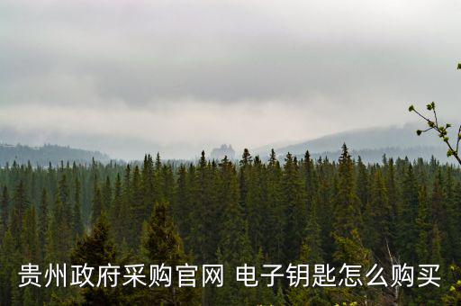 貴州政府采購官網 電子鑰匙怎么購買