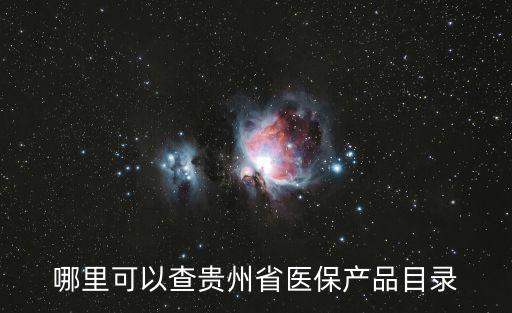 哪里可以查貴州省醫保產品目錄