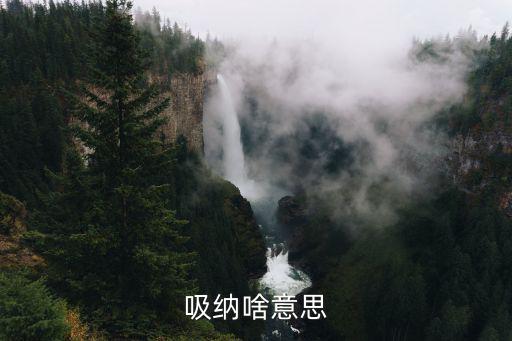 吸納啥意思