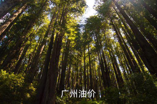 廣州油價
