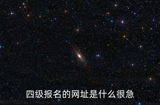 四級報(bào)名的網(wǎng)址是什么很急