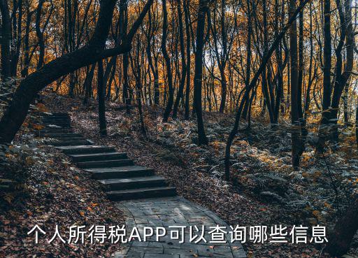 新版?zhèn)€人所得稅app官網(wǎng)，個(gè)人所得稅軟件下載